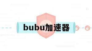 bubu加速器