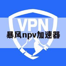 暴风npv加速器
