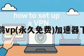 海鸥vp(永久免费)加速器下载