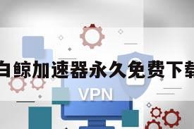 白鲸加速器永久免费下载