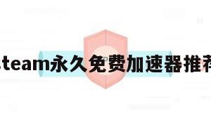 steam永久免费加速器推荐