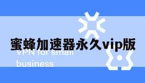 蜜蜂加速器永久vip版