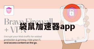 袋鼠加速器app