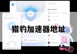 猎豹加速器地址