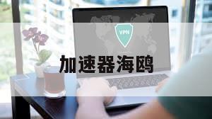 加速器海鸥