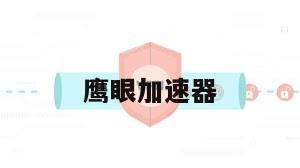 鹰眼加速器