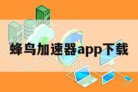 蜂鸟加速器app下载