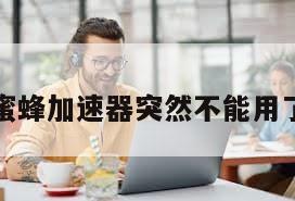 蜜蜂加速器突然不能用了