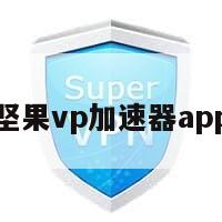 坚果vp加速器app