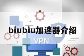 biubiu加速器介绍
