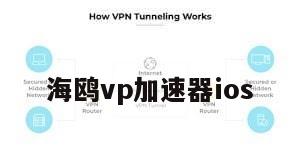海鸥vp加速器ios