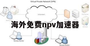 海外免费npv加速器