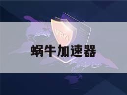 蜗牛加速器