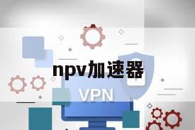 npv加速器