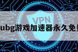 pubg游戏加速器永久免费