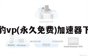 黑豹vp(永久免费)加速器下载